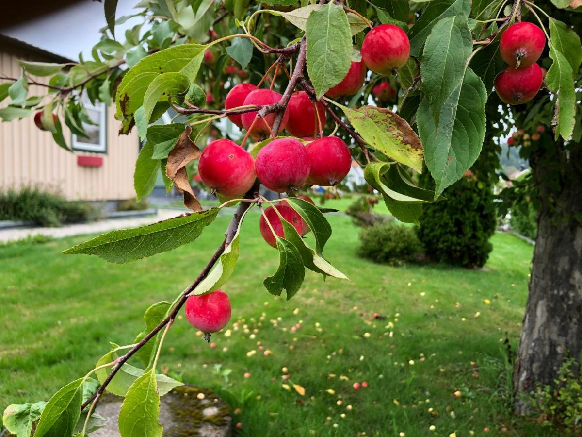 Granvägens Gästhem Vargön Lägenhet Exteriör bild